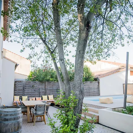 Maison Nomade Piscine Privee, Parking Et Clim Carcassonne